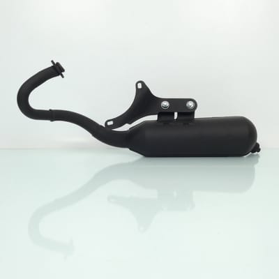 Pot échappement Malossi Wild Lion pour scooter Gilera 50 Runner 2T 3216582 Neuf