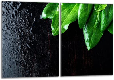 TMK ArtDeko - Glazen Beschermplaat - 40x52 cm - Basilicum - Veilig en Hygiënisch