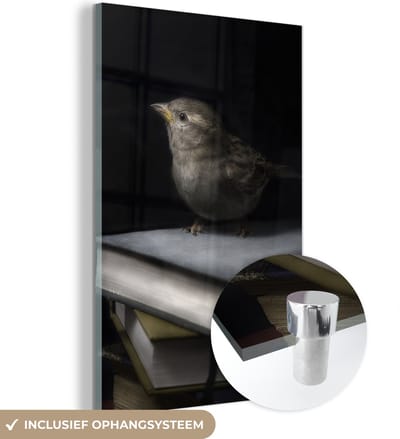 MuchoWow® Glasschilderij 120x180 cm - Schilderij acrylglas - Vogel - Boeken - Portret - Foto op glas - Schilderijen