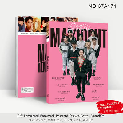 KPOP Idol Stray Kids MAXIDENT Photo Album Photobook variant 1 [Fotoboek]