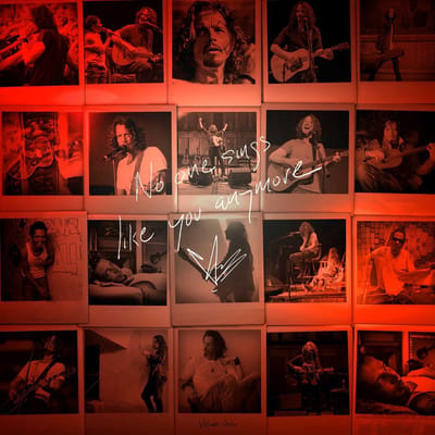 Chris Cornell - No One Sings Like You Anymore (CD)
