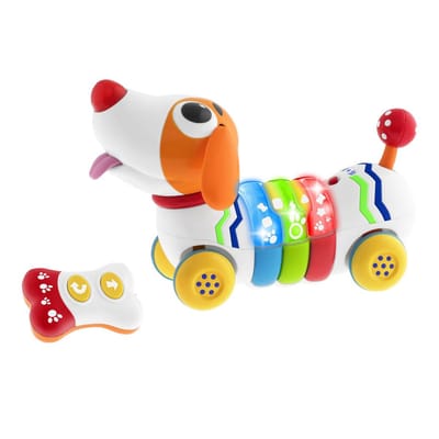 Hond Dogremi RC