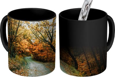 Magische Mok - Foto op Warmte Mokken - Koffiemok - Bladeren - Herfst - Bos - Magic Mok - Beker - 350 ML - Theemok