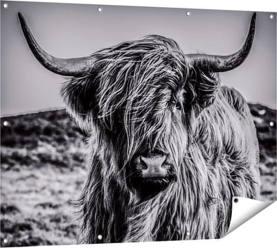 Gards Tuinposter Schotse Hooglander Koe - Zwart Wit - 120x90 cm - Tuindoek - Tuindecoratie - Wanddecoratie buiten - Tuinschilderij