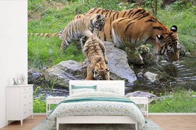 Behang - Fotobehang Tijger - Welp - Water - Breedte 420 cm x hoogte 280 cm