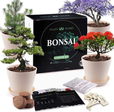 LotaHome - Bonsai Starters Kit - Bonsai Boom Kweken - Bonsai Zaden Kit - 25 Delige Kweekset - Bonsai Boompje - Binnen Boomp Kweken - Kamerplanten - Schoonmaak Set, Schaar, Informatieboek en Potgrond - DIY - Complete Set - 160 Bonsai Zaden - Cadeau