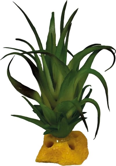 Repto Plant Tillandsia kunstplant terrarium 6 cm voor reptielen en amfibieën