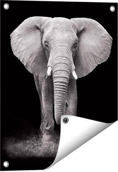 Gards Tuinposter Olifant - Zwart Wit - 40x50 cm - Tuindoek - Tuindecoratie - Wanddecoratie buiten - Tuinschilderij