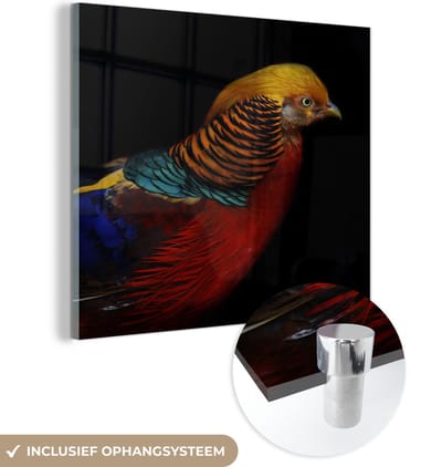 MuchoWow® Glasschilderij 50x50 cm - Schilderij acrylglas - Vogel - Veren - Zwart - Portret - Foto op glas - Schilderijen