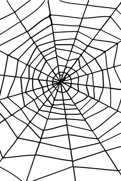 Smiffys - Spider & Spiders Web Halloween Decoratie - Zwart