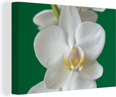 Canvas Schilderij Orchidee met groene achtergrond - 60x40 cm - Wanddecoratie
