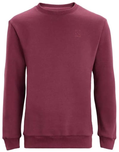 Altus Luxor Hoodie Roze L Man