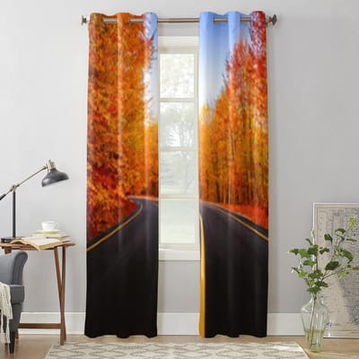 Zwarte Weg In Herfstbos Raamgordijn Voor Woonkamer Slaapkamer Decoratie Gordijnen Luxe Keuken Valgordijnen 135W x 60H(cm) x1