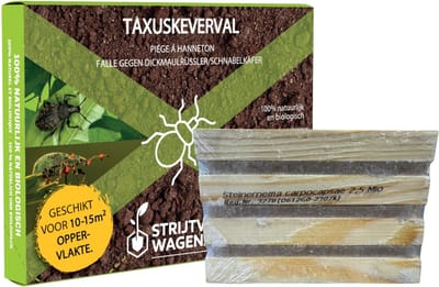 Strijtveen & Wagenaar Taxuskeverval | Goed voor 10-15m2 | Natuurlijke Bestrijding Volwassen Taxuskevers | Zonder gif | Werkt 6 weken | Eenvoudig te plaatsen