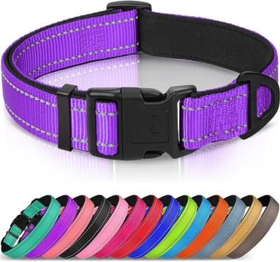 Hondenhalsband met Veiligheidsgesp, Reflecterende Verstelbare Halsbanden met Zachte Neopreen Vulling Huisdier, Veiligheidskraag voor Kleine Honden Huisdieren, XS, Paars