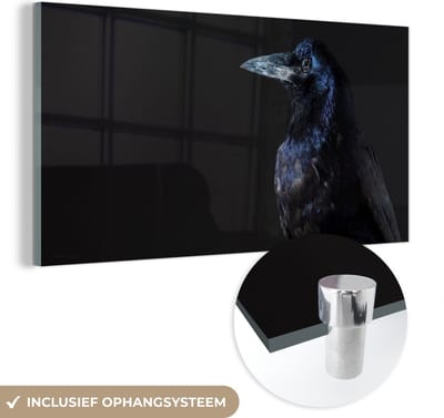 MuchoWow® Glasschilderij 40x20 cm - Schilderij acrylglas - Vogel - Dieren - Zwart - Foto op glas - Schilderijen