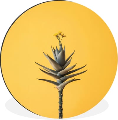 WallCircle - Wandcirkel - Muurcirkel - Plant - Minimalistisch - Bloem - Geel - Aluminium - Dibond - 30x30 cm - Binnen en Buiten
