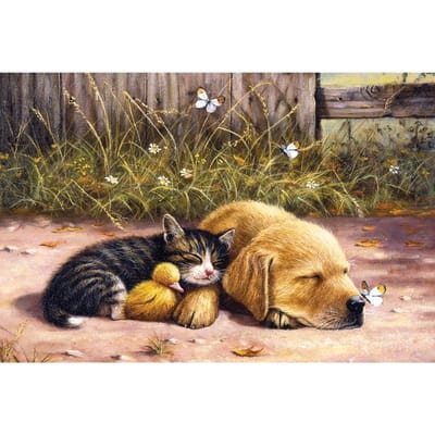 Diamant schilderij kruissteek slapende puppy en kitten ronde naaldwerk ambachtelijke diamant borduurwerk 20X30CM beige