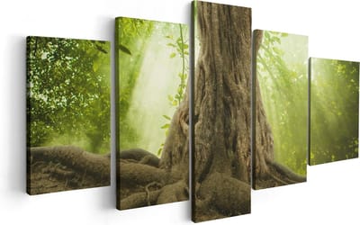 Artaza Canvas Schilderij Vijfluik Grote Boom In Het Bos Met Wortels - 100x50 - Foto Op Canvas - Canvas Print