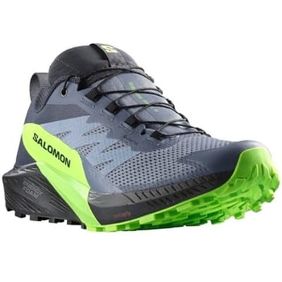 Hardloopschoenen Salomon Sense Ride 5 Gtx