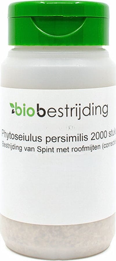 Bestrijding van spint met phytoseiulus persimilis - 2000 stuks - roofmijten tegen spint