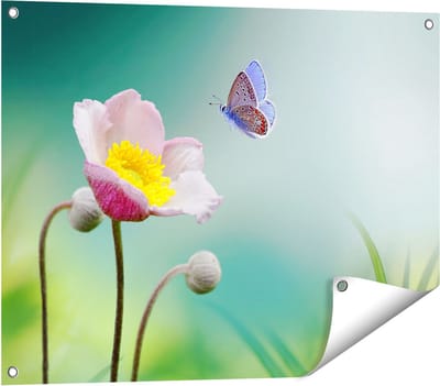 Gards Tuinposter Roze Anemoon Bloem met een Blauwe Vlinder - 80x60 cm - Tuindoek - Tuindecoratie - Wanddecoratie buiten - Tuinschilderij
