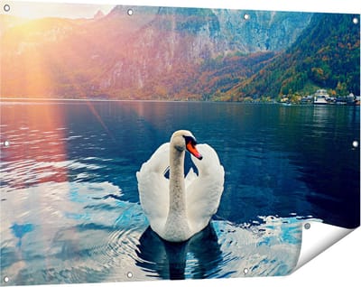 Gards Tuinposter Zwaan op het Water in de Bergen - 120x80 cm - Tuindoek - Tuindecoratie - Wanddecoratie buiten - Tuinschilderij