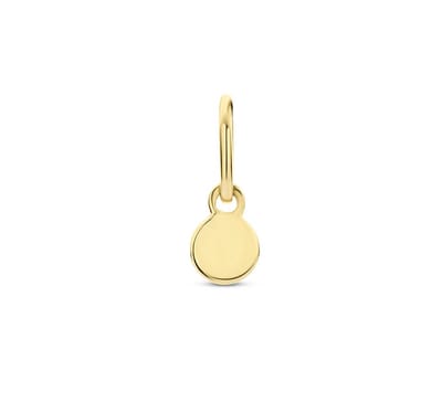 Geelgouden Hanger rond 4023837