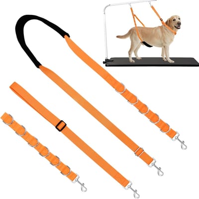 Hondenriem - Buikriem -Verstelbare Verzorgingsriem -Lasso -Verlengriem Met 6D-Ring -Hondenhalsband -Voor Kleine En Middelgrote Honden -Trimmen En Wassen