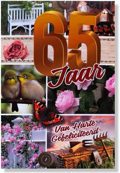Hoera 65 Jaar! Luxe verjaardagskaart - 12x17cm - Gevouwen Wenskaart inclusief envelop - Leeftijdkaart