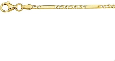 The Jewelry Collection Armband Valkenoog 2,0 mm - Geelgoud