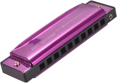 Diatonische Mondharmonica - 10 Gaten Harmonica - Muziek Maken - Helder Melodieus Geluid - 10.3 cm Lengte - Paars