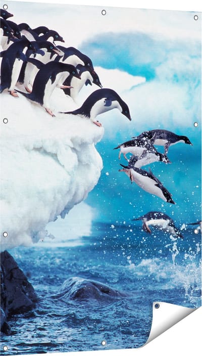 Gards Tuinposter Kudde Pingu�ns Springen vanaf een Rots - 80x120 cm - Tuindoek - Tuindecoratie - Wanddecoratie buiten - Tuinschilderij