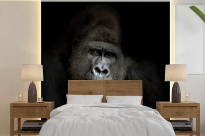 Behang - Fotobehang Gorilla - Aap - Dieren - Zwart wit - Breedte 240 cm x hoogte 240 cm