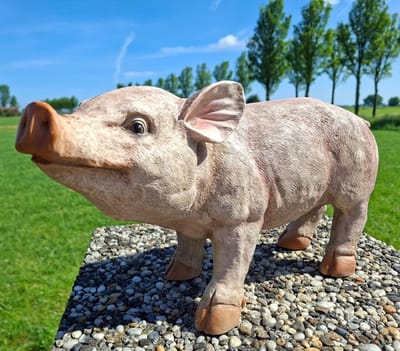 Levensecht Varken Tuinbeeld - L47 x H25 cm - Polystone Big Biggetje - Roze/Bruin - Decoratiebeeld voor Binnen, Buiten en Boerderij Sfeer