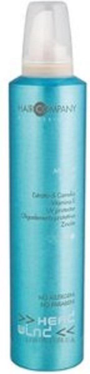 Hair Company Head Wind Mid-Fix Mousse