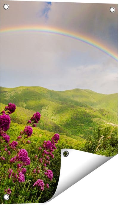 Gards Tuinposter Regenboog in de Heuvel Bossen - 40x60 cm - Tuindoek - Tuindecoratie - Wanddecoratie buiten - Tuinschilderij