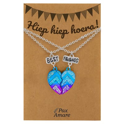 BFF Ketting voor 2 'Hiep Hiep Hoera' - Magnetisch Best Friends Hartje - Vriendschapsketting op Cadeau Kaartje - 45cm + 5cm verstelbaar - Zilverkleurig - Verjaardags Hanger - Pax Amare