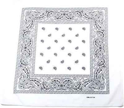Zac's Alter Ego Bandana Paisley  Wit