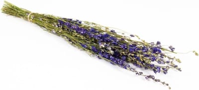 Gedroogd Boeket - Ridderspoor Boeket - Interieur Decoratie - Natuurlijke Kleuren - 70 cm - Blauwgroen