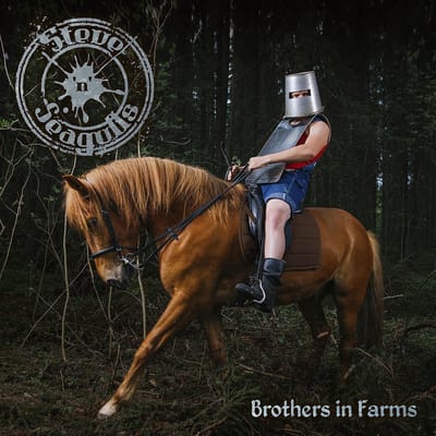 Steve'n'Seagulls - Brothers In Farms (CD)