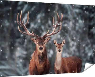 Gards Tuinposter Twee Herten met Sneeuw - 180x120 cm - Tuindoek - Tuindecoratie - Wanddecoratie buiten - Tuinschilderij