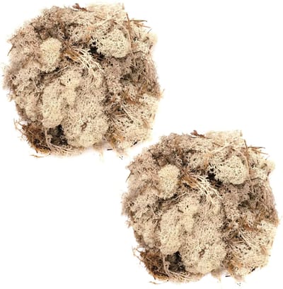 Decoratie nep mos - 2x - naturel - 50 gram - Hobby/knutselen - herfst/kerst thema decoreren - nature