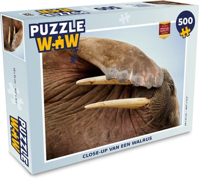 Puzzel Walrus - Dieren - Close up - Legpuzzel - Puzzel 500 stukjes