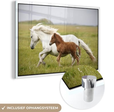 MuchoWow® Glasschilderij 30x20 cm - Schilderij acrylglas - Paarden - Dieren - Gras - Foto op glas - Schilderijen
