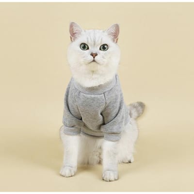 Sweat à capuche pour animal de compagnie Automne et Hiver Nouveau Confortable Respirant Chaud Moelleux Vêtements pour Chien Vêtements pour Petit Chien et Chat L