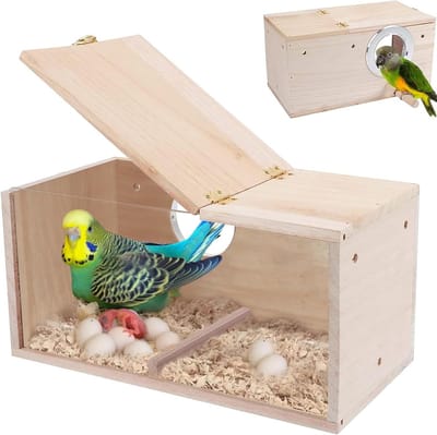 Houten Vogelhuisje voor Kleine Vogels - Transparante Kweekdoos met Basis voor Liefhebbers, Putter en Meer, 29,5 x 15 x 15 cm, Ideaal voor Nestelen en Broeden