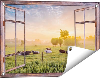 Gards Tuinposter Doorkijk Koeien in de Wei tijdens Zonsopgang - 60x40 cm - Tuindoek - Tuindecoratie - Wanddecoratie buiten - Tuinschilderij