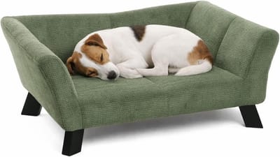 Hondenbed – Sofa hond – Sofa kat – Flamingo Damario Rechthoekig Groen – 62,5 x 43 x 25 cm – houten pootjes