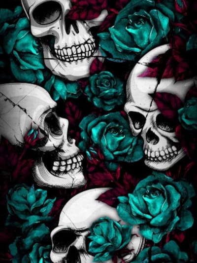 Diamond painting schedels skulls rozen 30x40cm vierkante steentjes